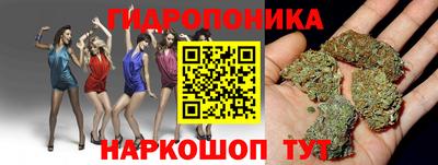 spice Краснознаменск